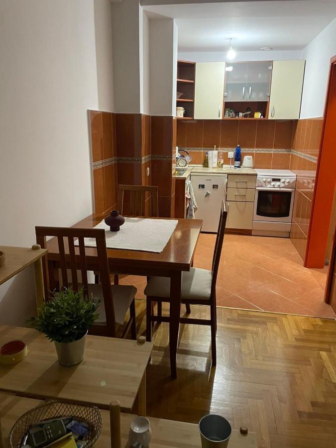 Apartman Sasa Подгорица Екстериор снимка